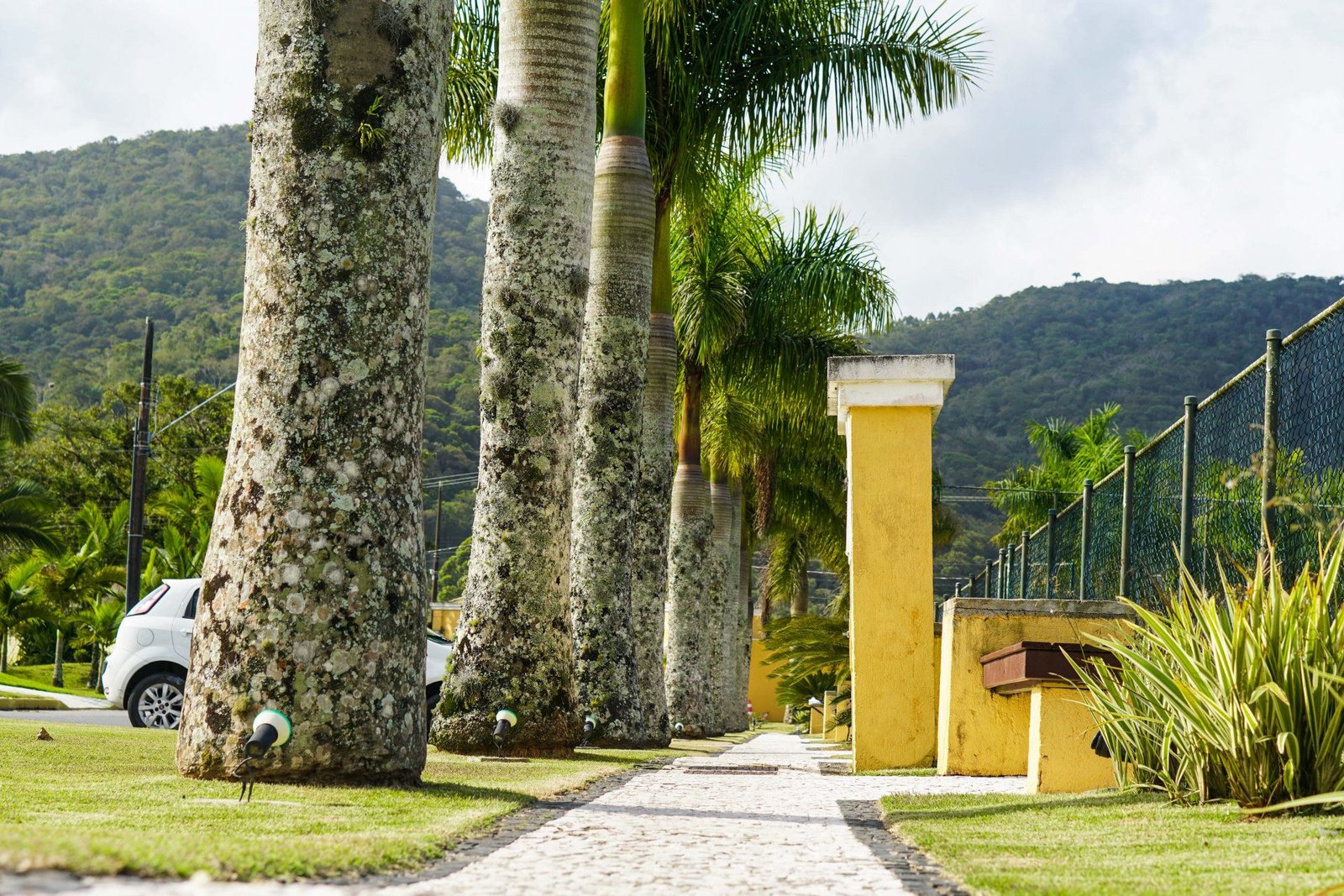 chacara-flora-lote-g4-16-1