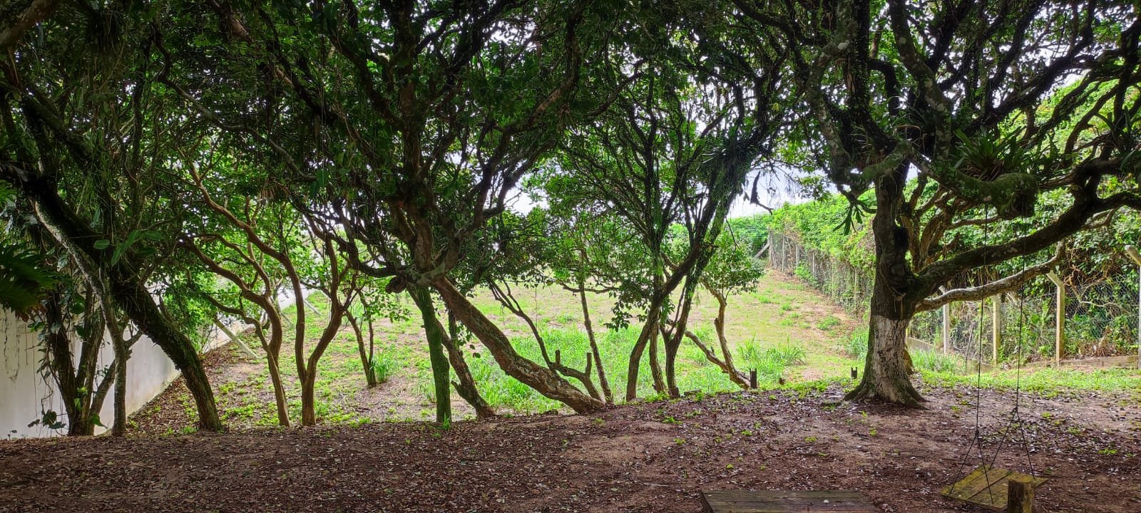 terreno-frente-mar-3